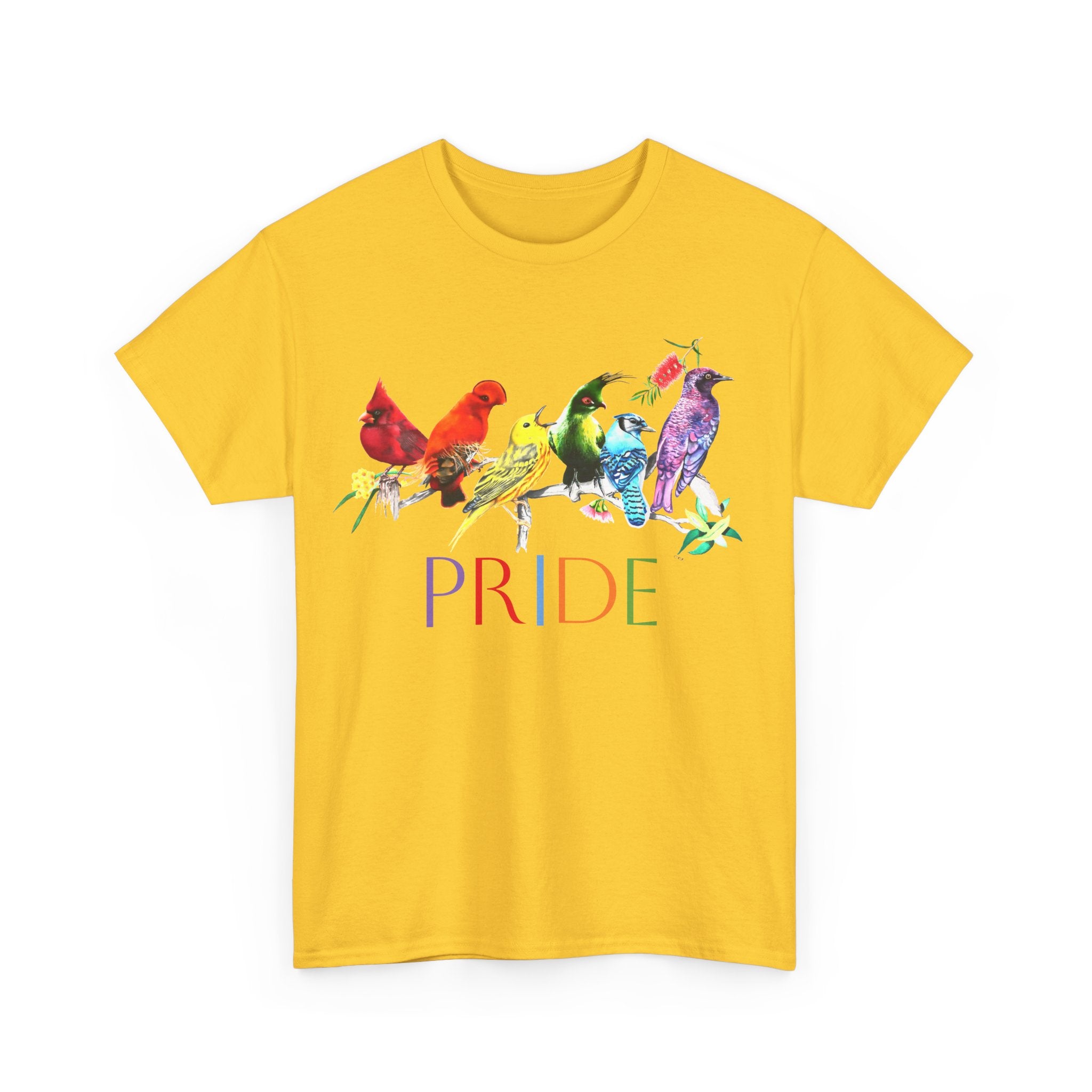 Pride Birds II - Unisex Heavy Cotton Tee