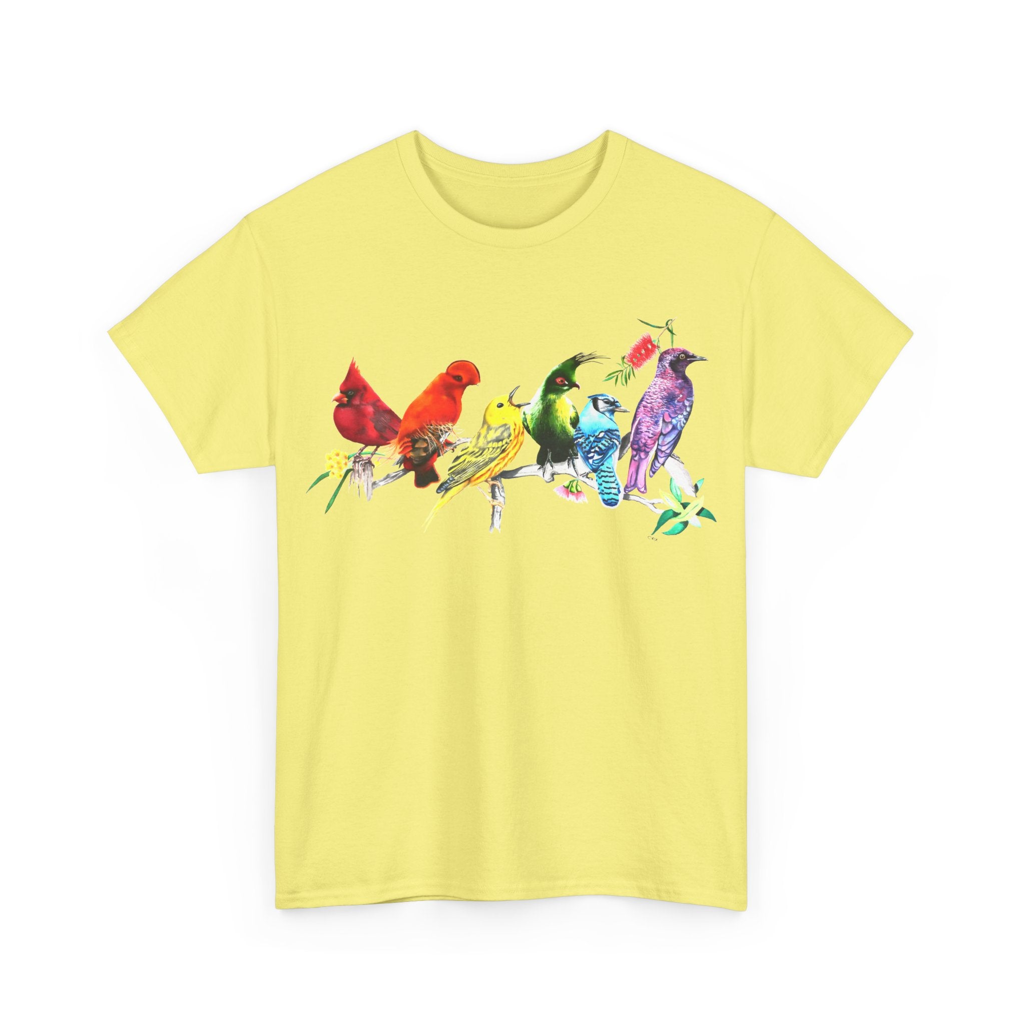 Pride Birds Unisex Heavy Cotton Tee