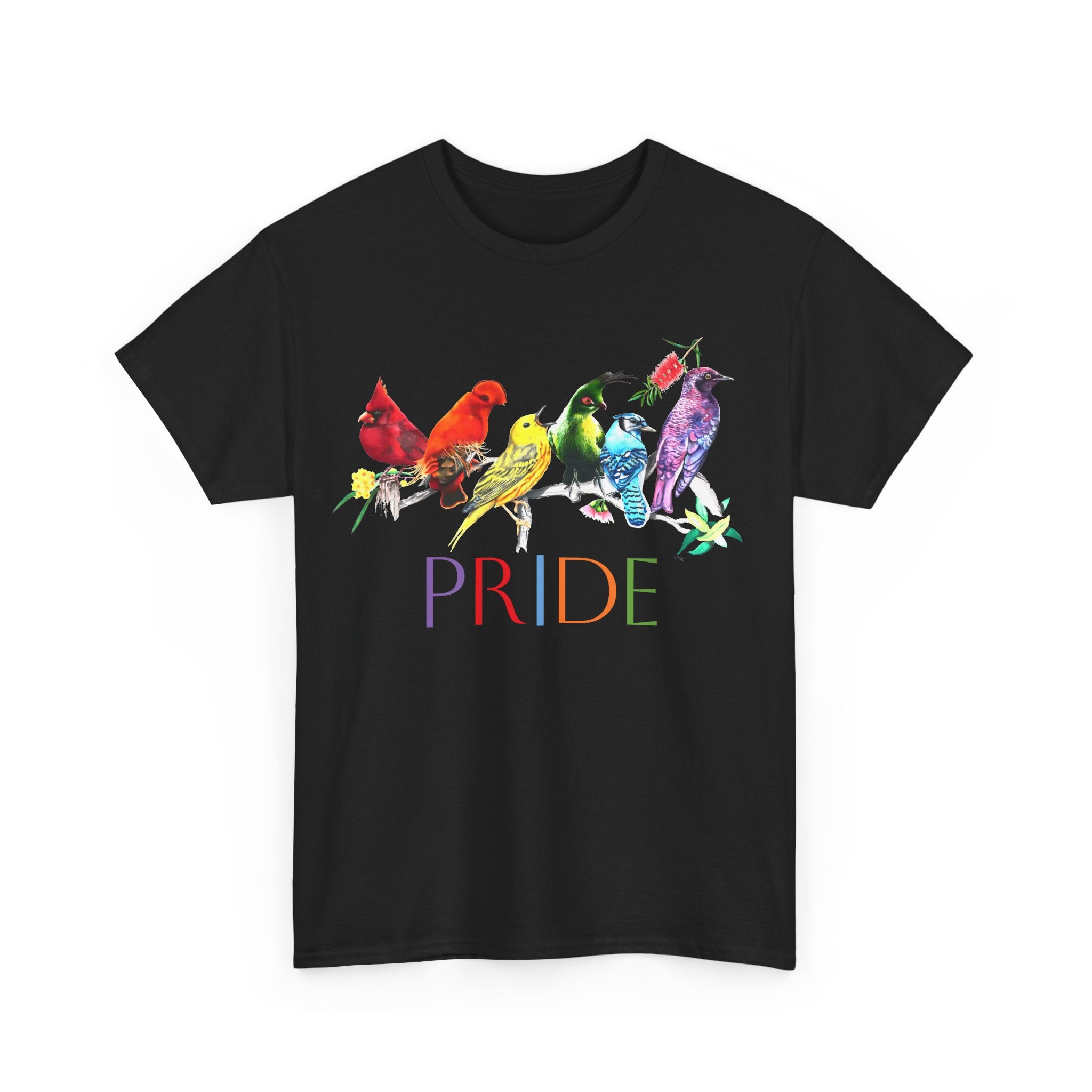 Pride Birds II - Unisex Heavy Cotton Tee