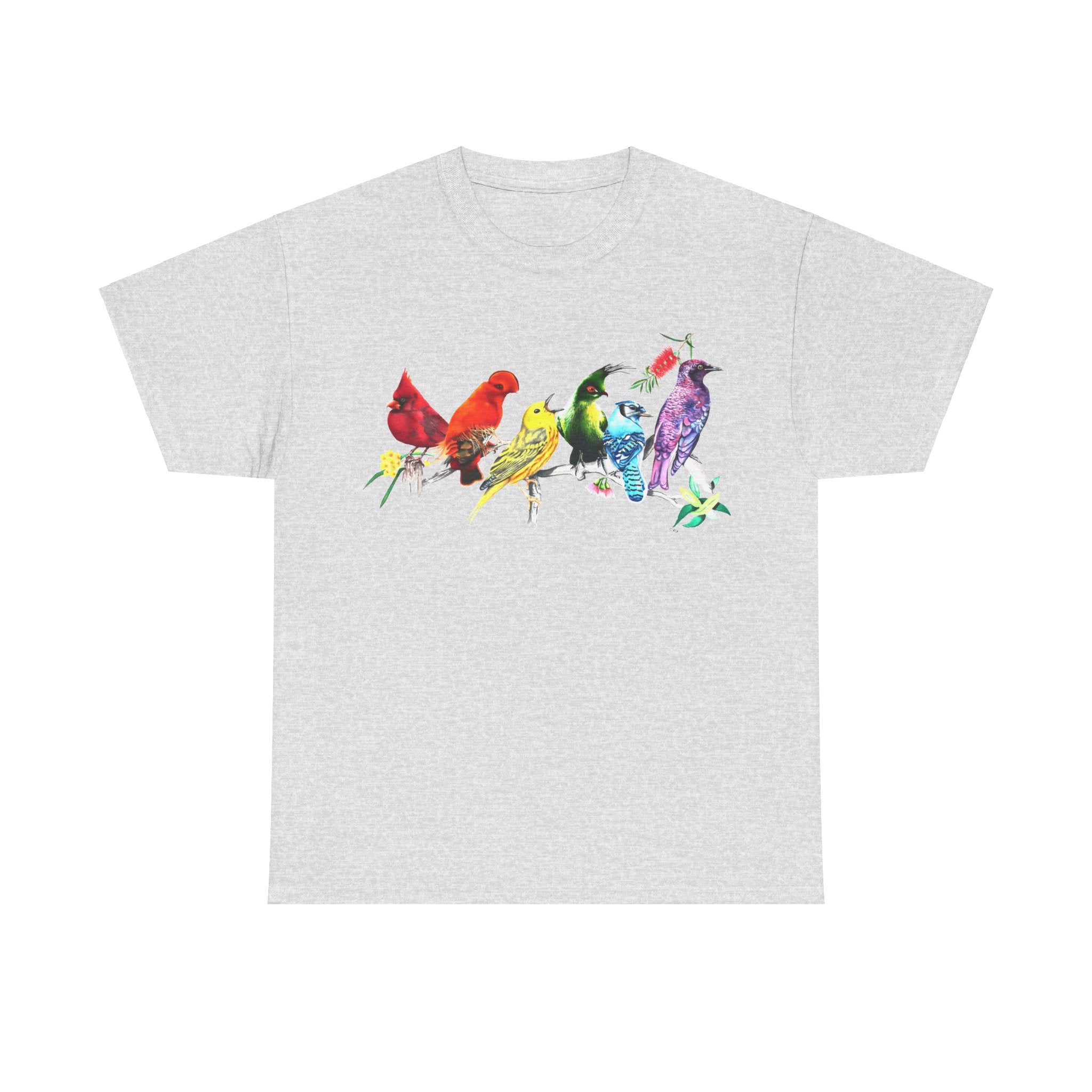 Pride Birds Unisex Heavy Cotton Tee