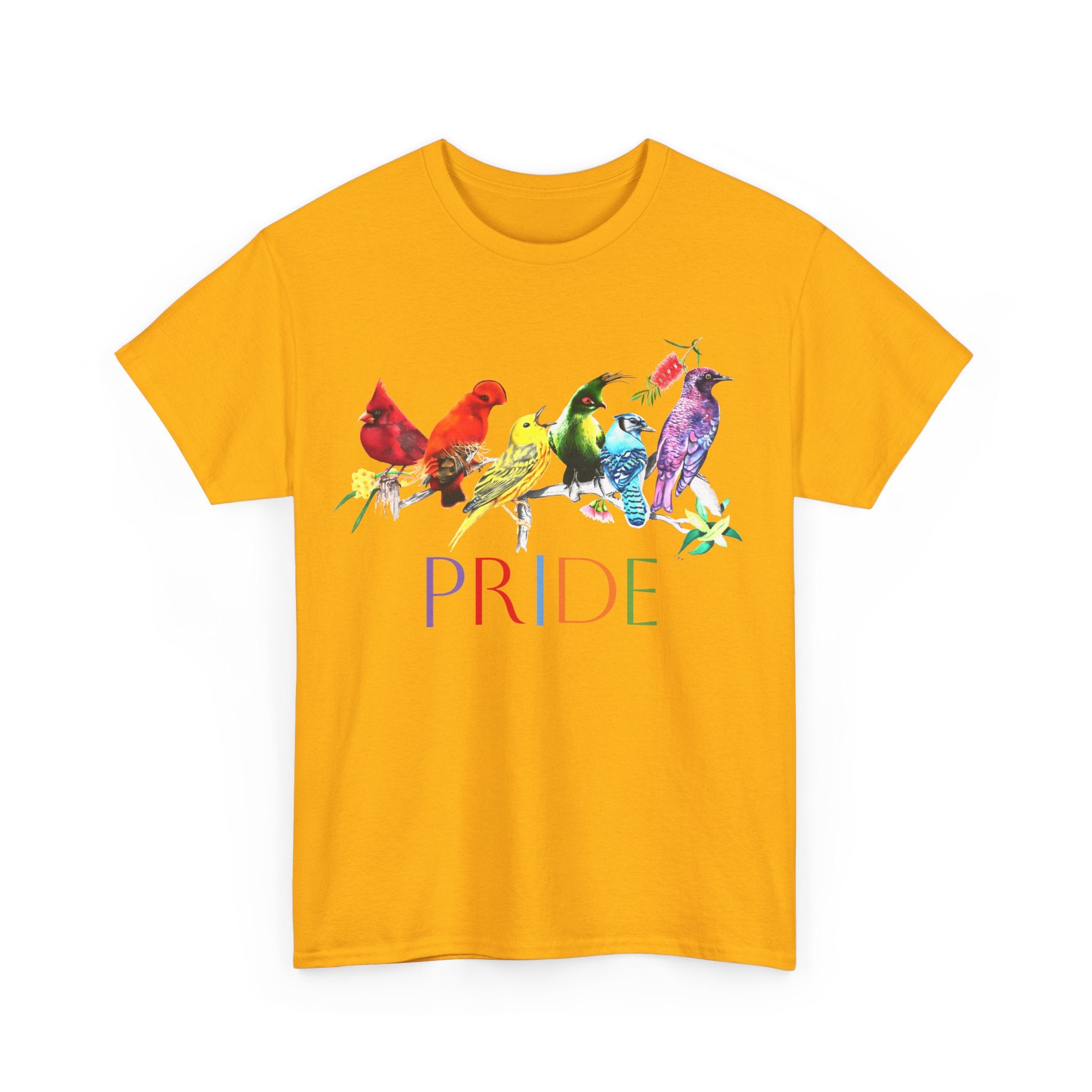 Pride Birds II - Unisex Heavy Cotton Tee