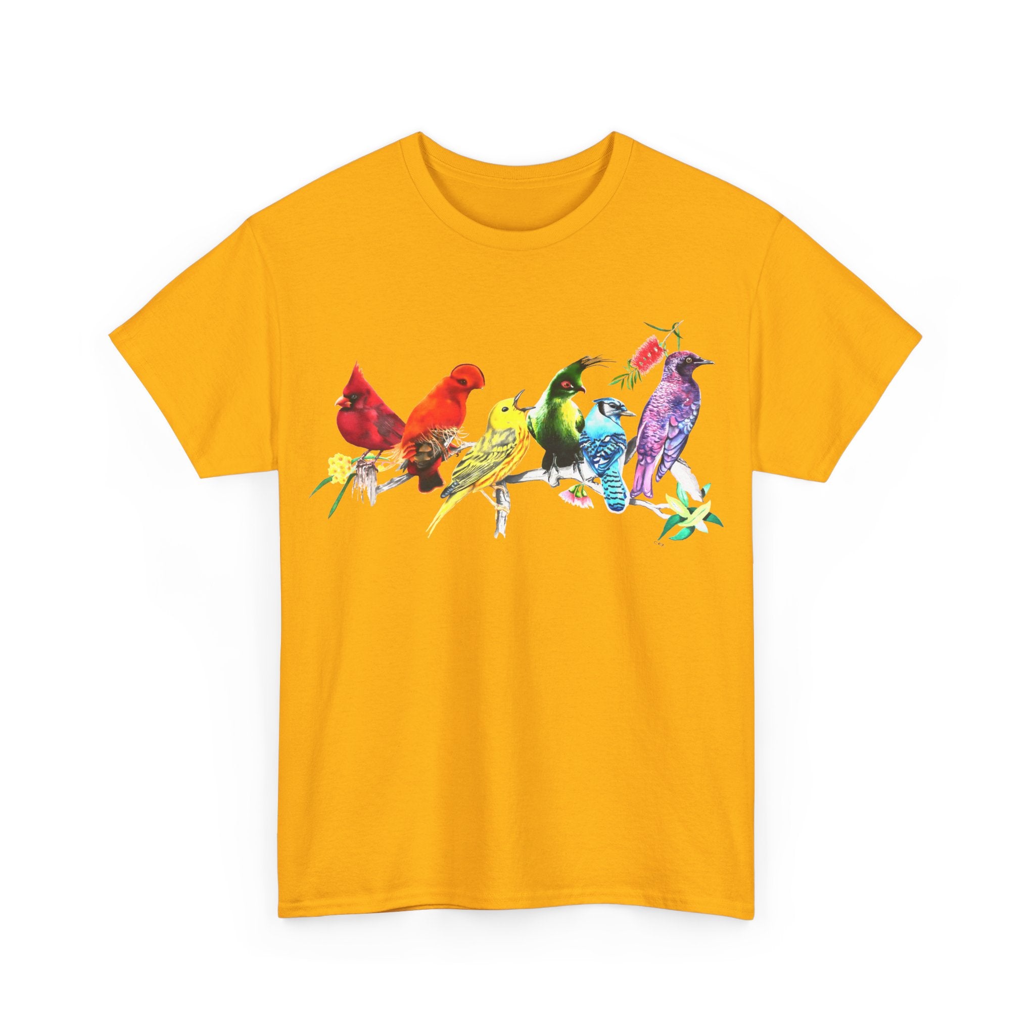 Pride Birds Unisex Heavy Cotton Tee