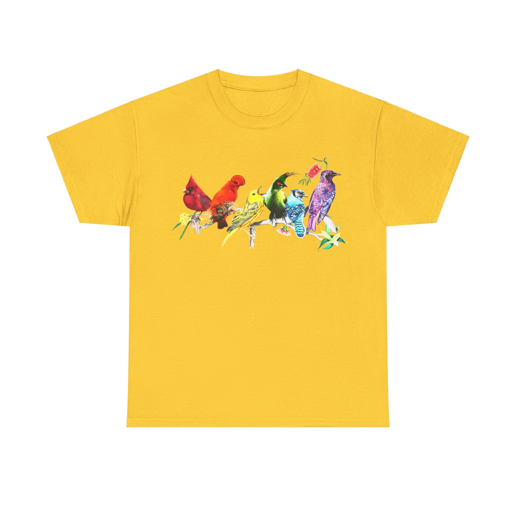 Pride Birds Unisex Heavy Cotton Tee