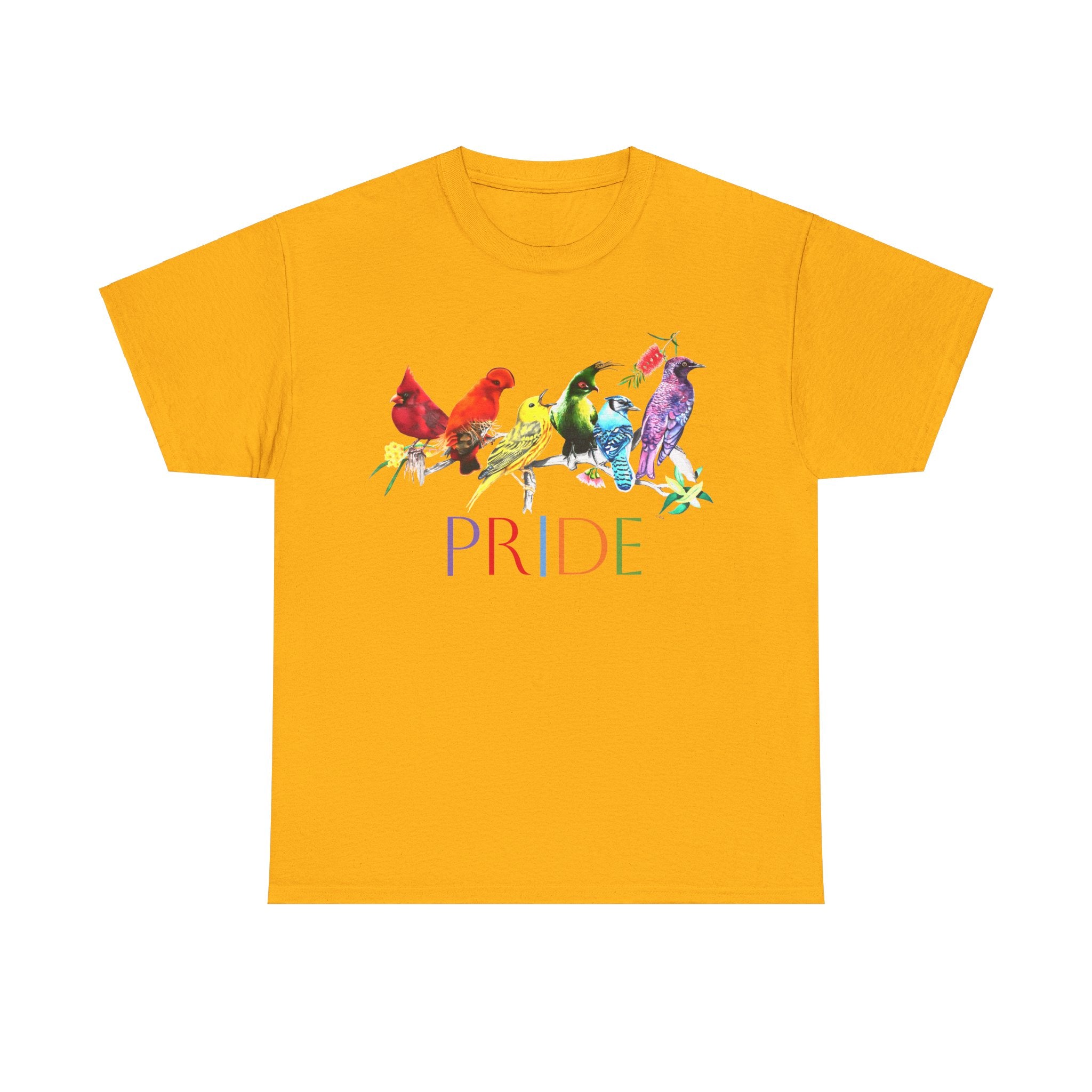 Pride Birds II - Unisex Heavy Cotton Tee