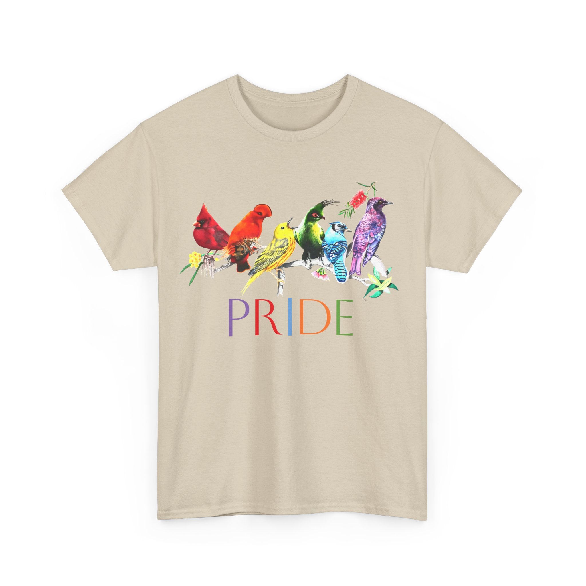 Pride Birds II - Unisex Heavy Cotton Tee