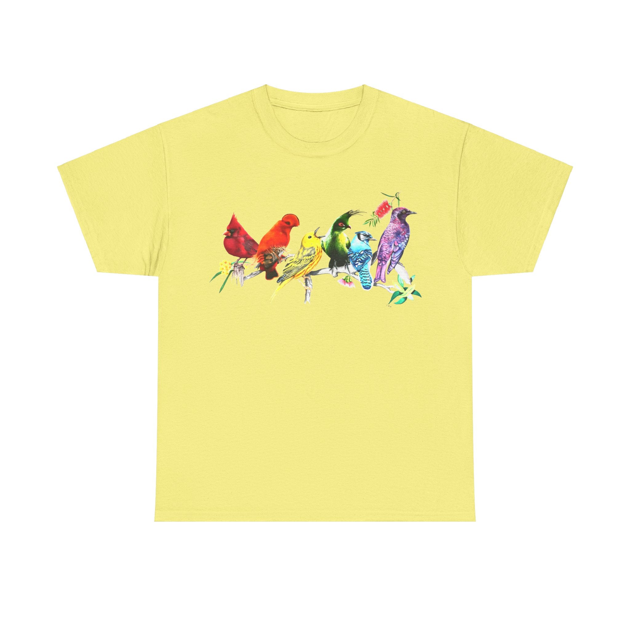 Pride Birds Unisex Heavy Cotton Tee