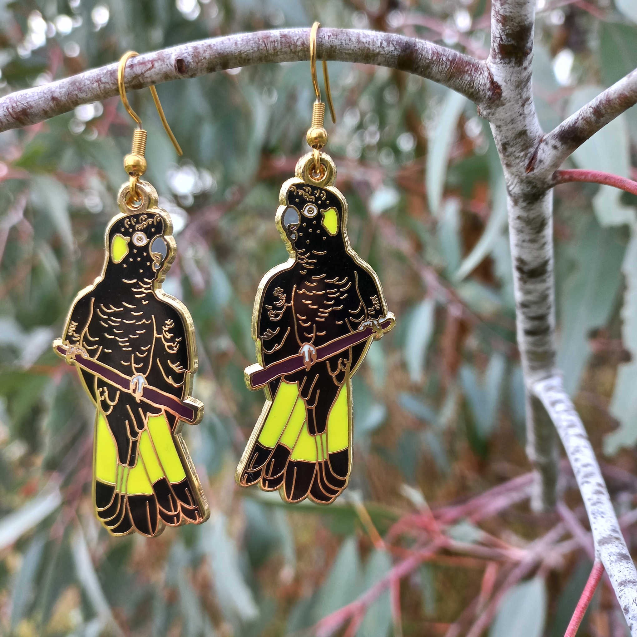 Yellow Tailed Black Cockatoo Earrings