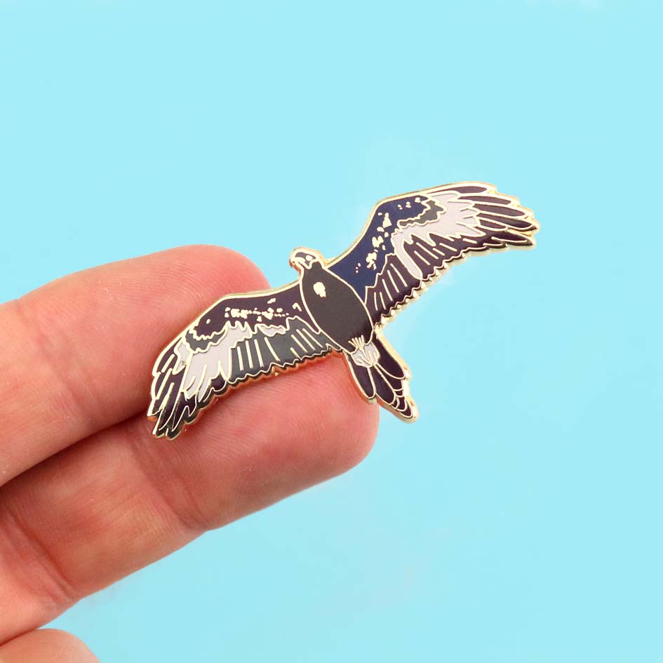 Pin on EAGLES