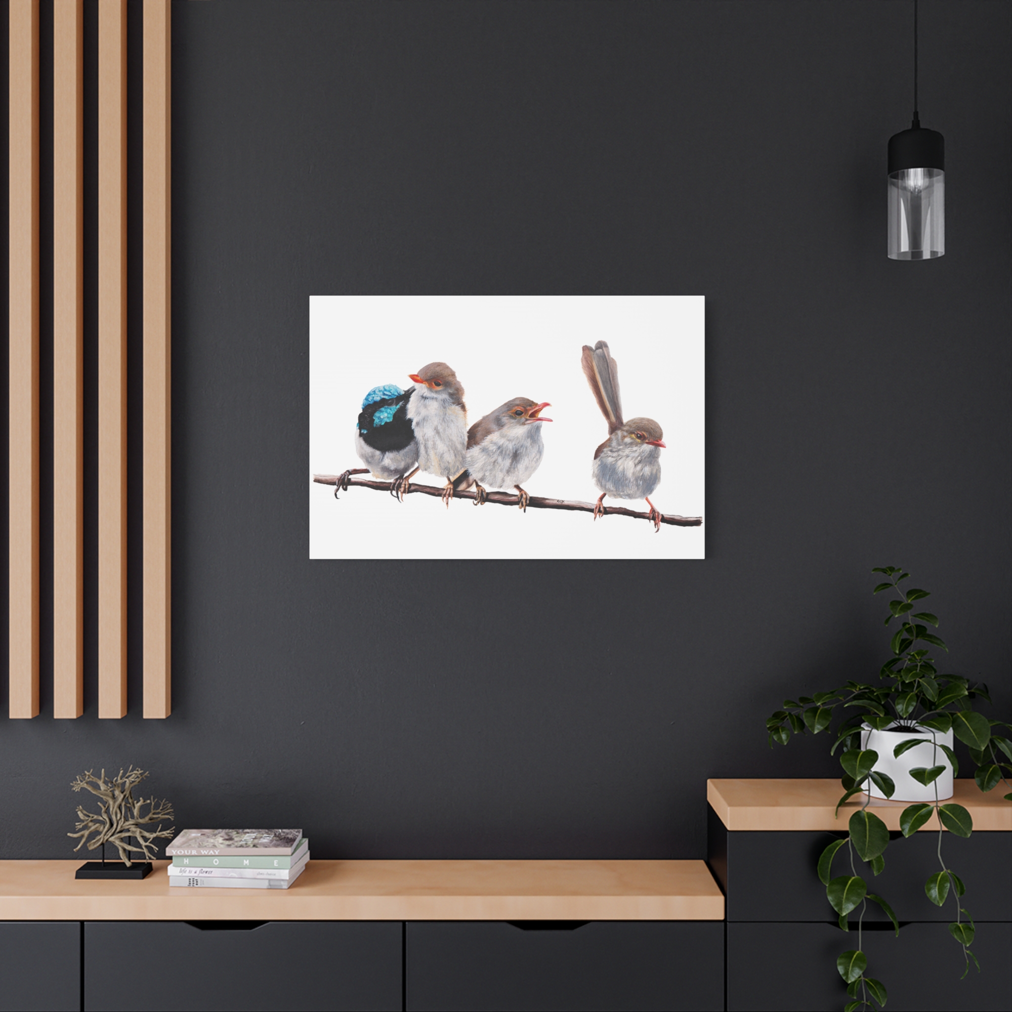 Superb Fairy Wrens Matte Canvas - Image 52