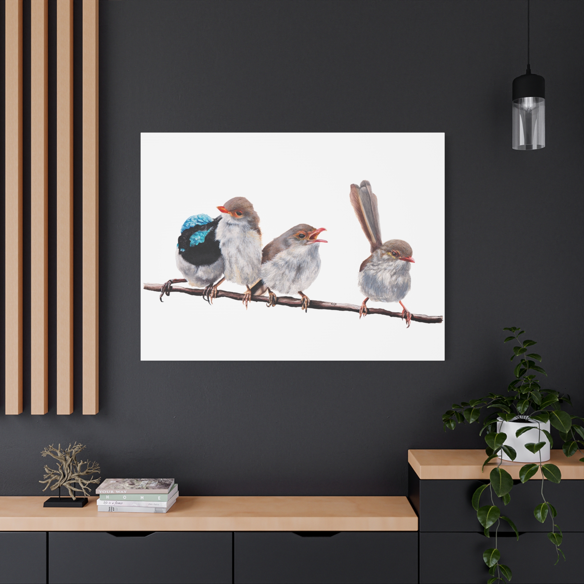 Superb Fairy Wrens Matte Canvas - Image 64
