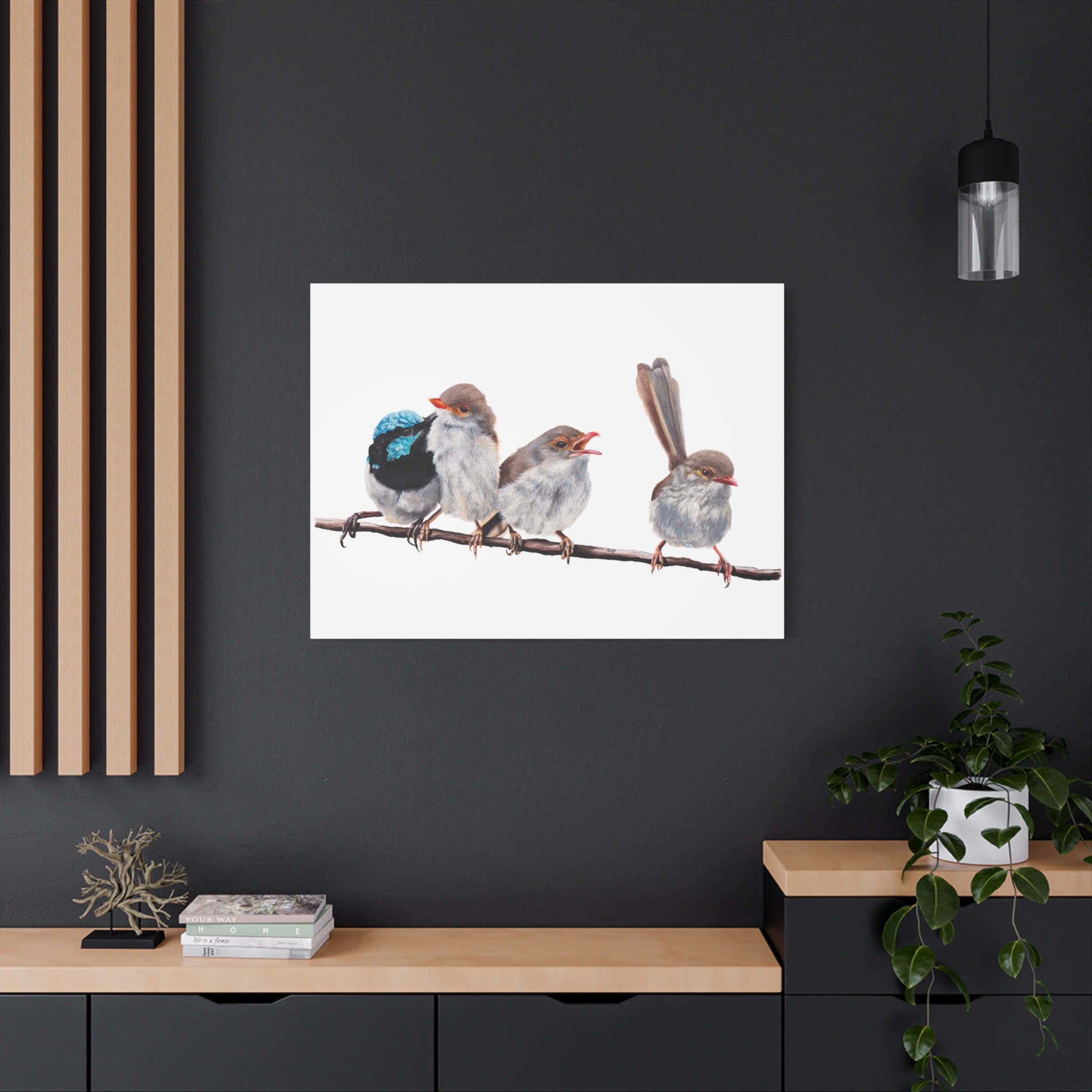 Superb Fairy Wrens Matte Canvas - Image 56