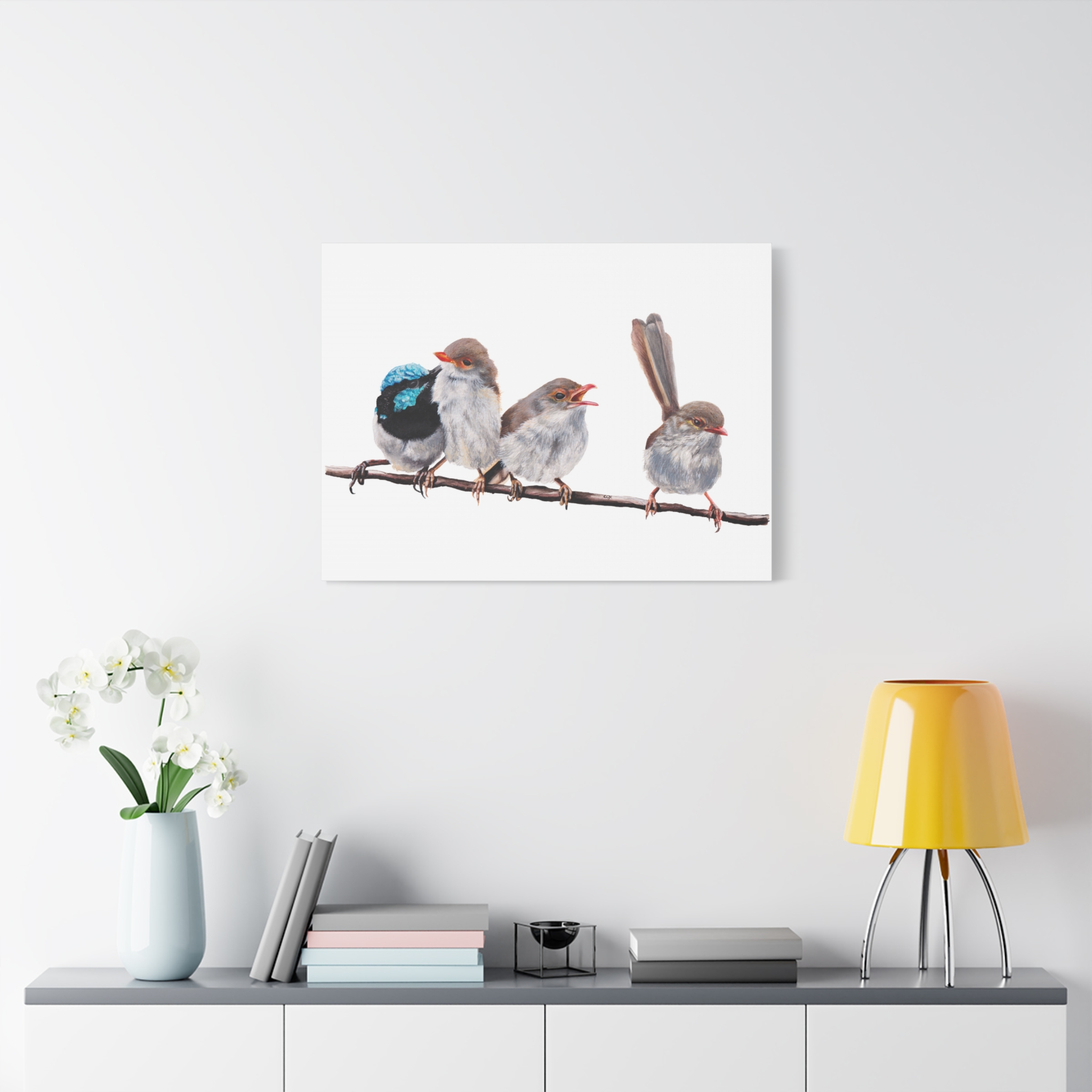 Superb Fairy Wrens Matte Canvas - Image 47