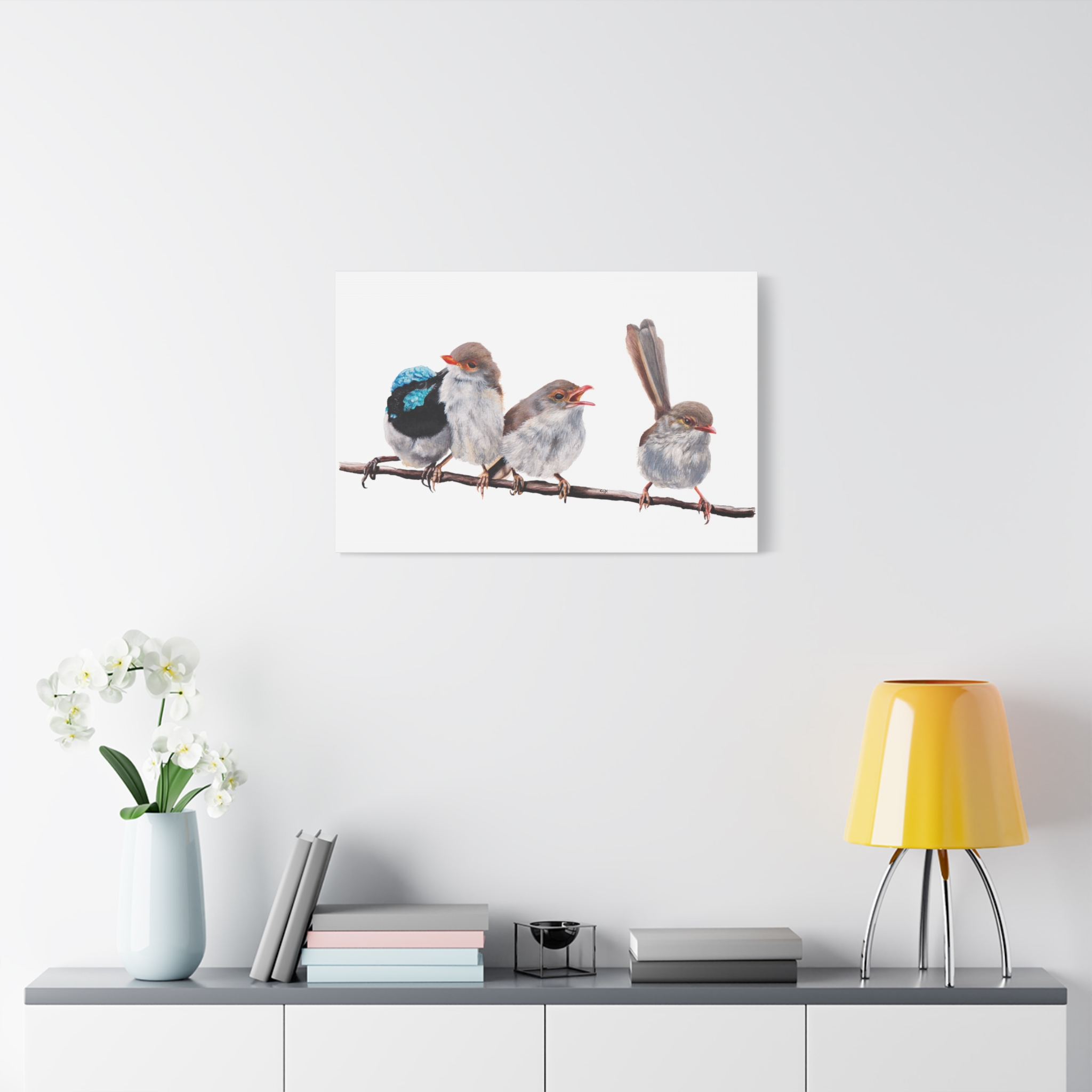 Superb Fairy Wrens Matte Canvas - Image 39