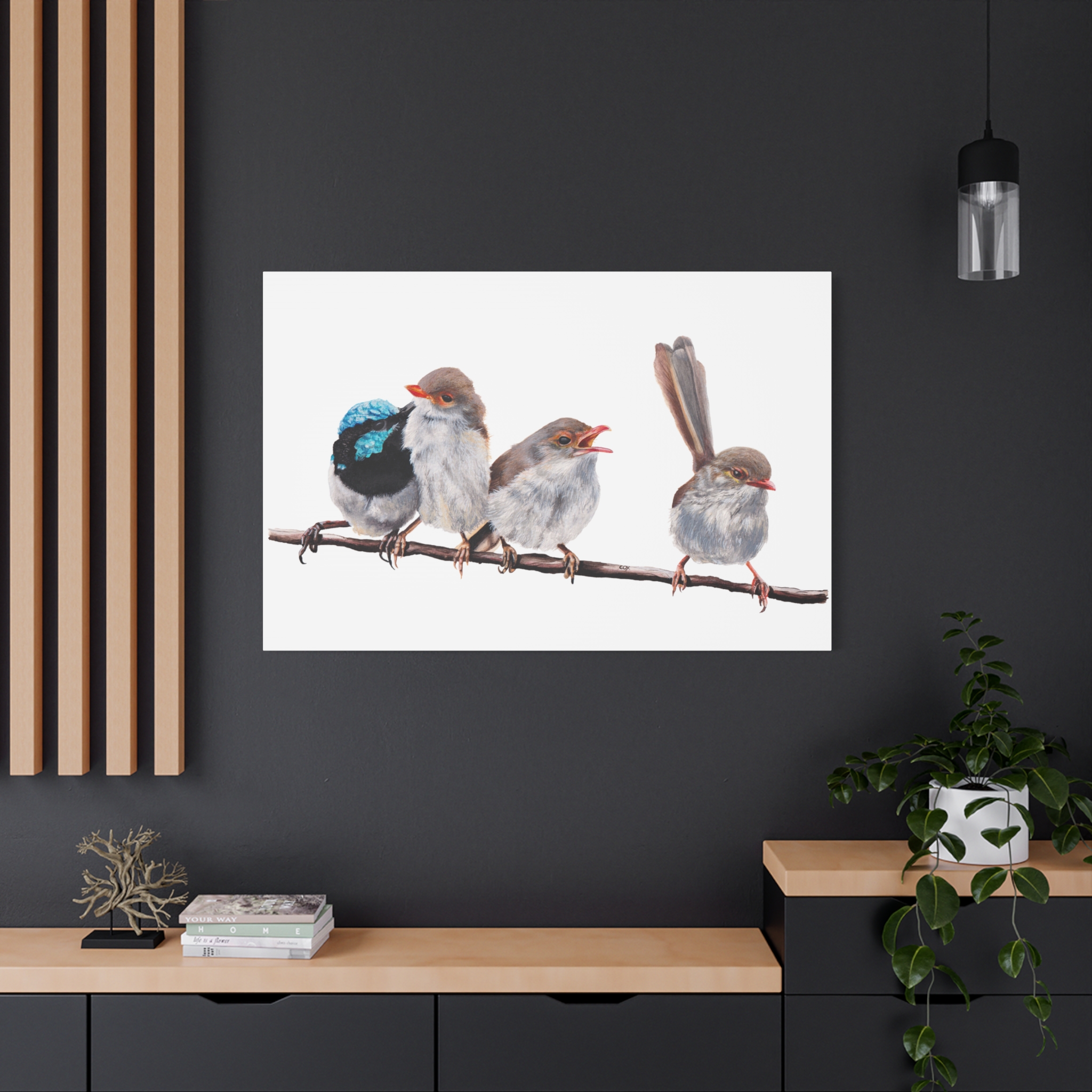 Superb Fairy Wrens Matte Canvas - Image 60