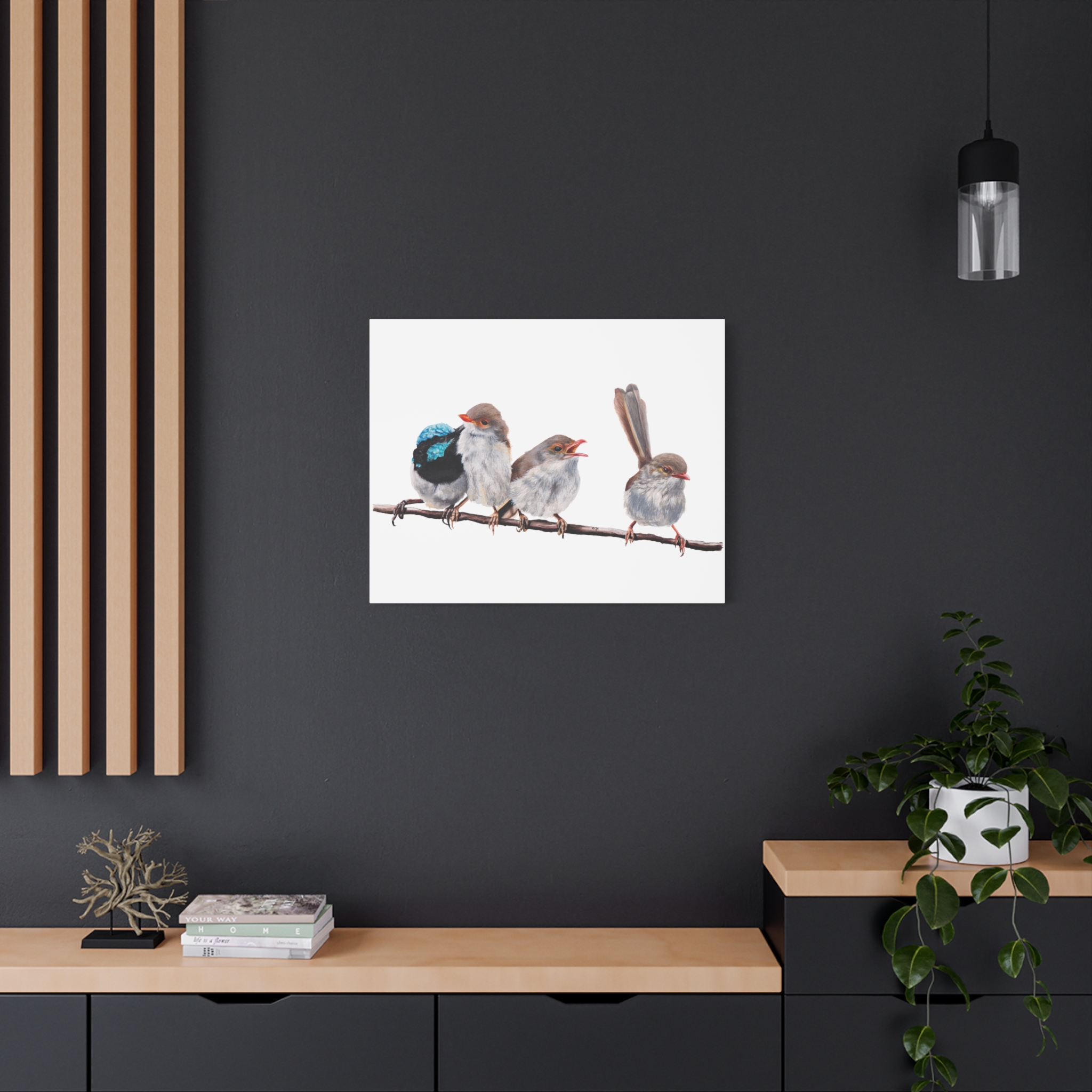 Superb Fairy Wrens Matte Canvas - Image 44
