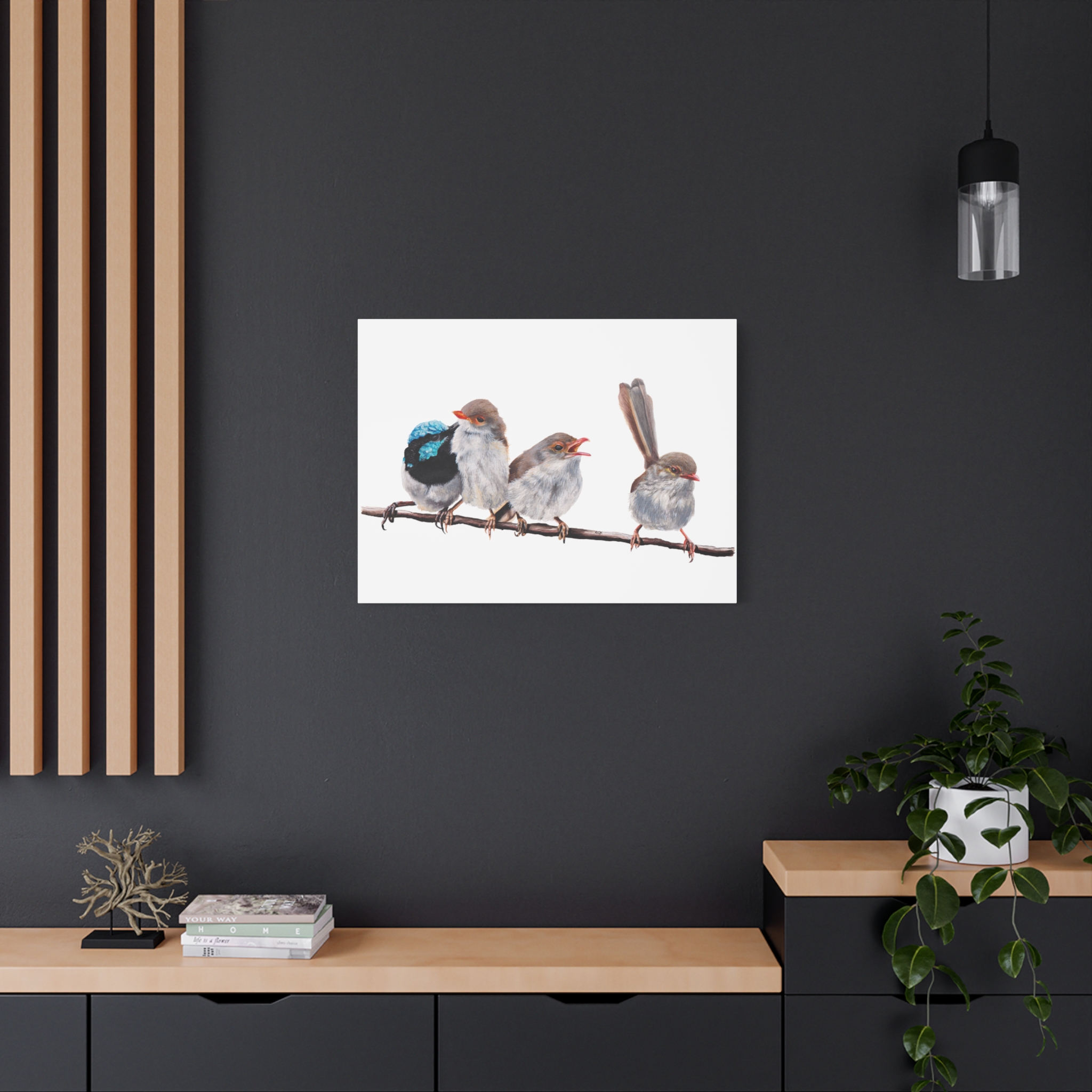 Superb Fairy Wrens Matte Canvas - Image 48